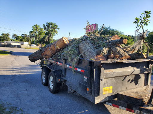 Tree Removal Service Savannah