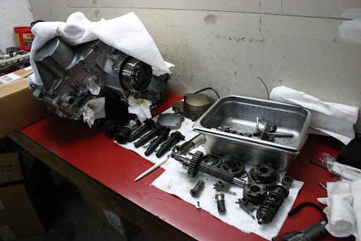 Motorcycle Shop «G P Bikes Inc», reviews and photos, 493 Babcock St, Melbourne, FL 32935, USA