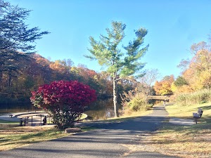 Willow tree park - photo 9