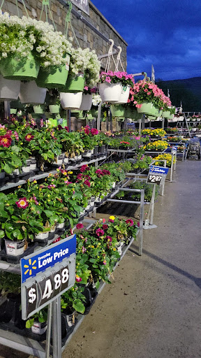 Department Store «Walmart Supercenter», reviews and photos, 7500 US-209, Napanoch, NY 12458, USA