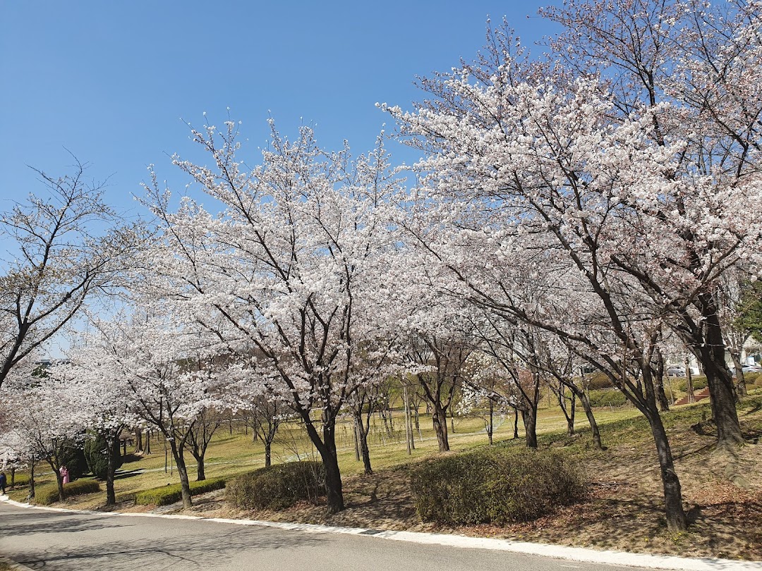 안산대학교