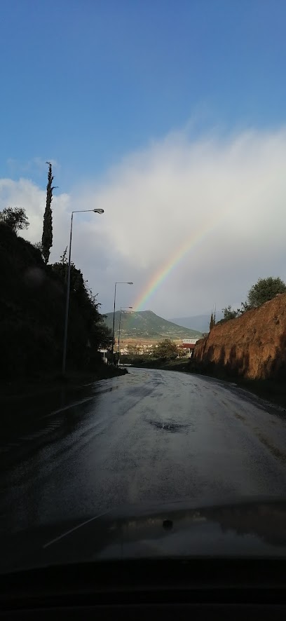 ΛΑΡΣΙΝΟΣ Α.Ε. Μονάδα ΝΕΜΕΑ