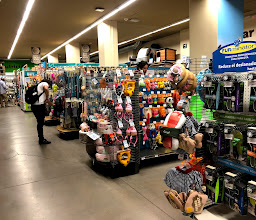 Petco Condesa (Express) photo