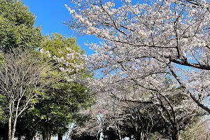 Hanyu Chuo Park image