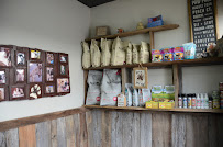 Paw Pals Inc. Brentwood - Photo 3 - Car repair in Brentwood, TN, Nashville