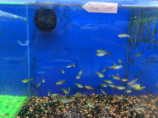 Tropical Fish Store «Coral Reef Aquariums», reviews and photos, 8416 N Armenia Ave, Tampa, FL 33604, USA