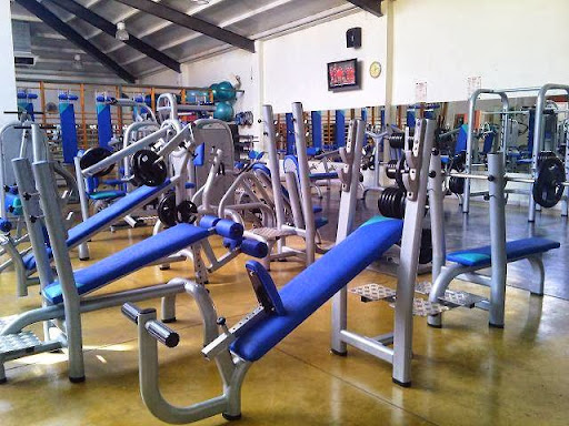 GIMNASIO OLIMPIA SQUASH en Don Benito, Badajoz
