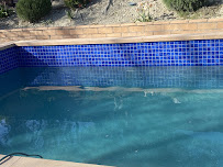 eco green pool and spa