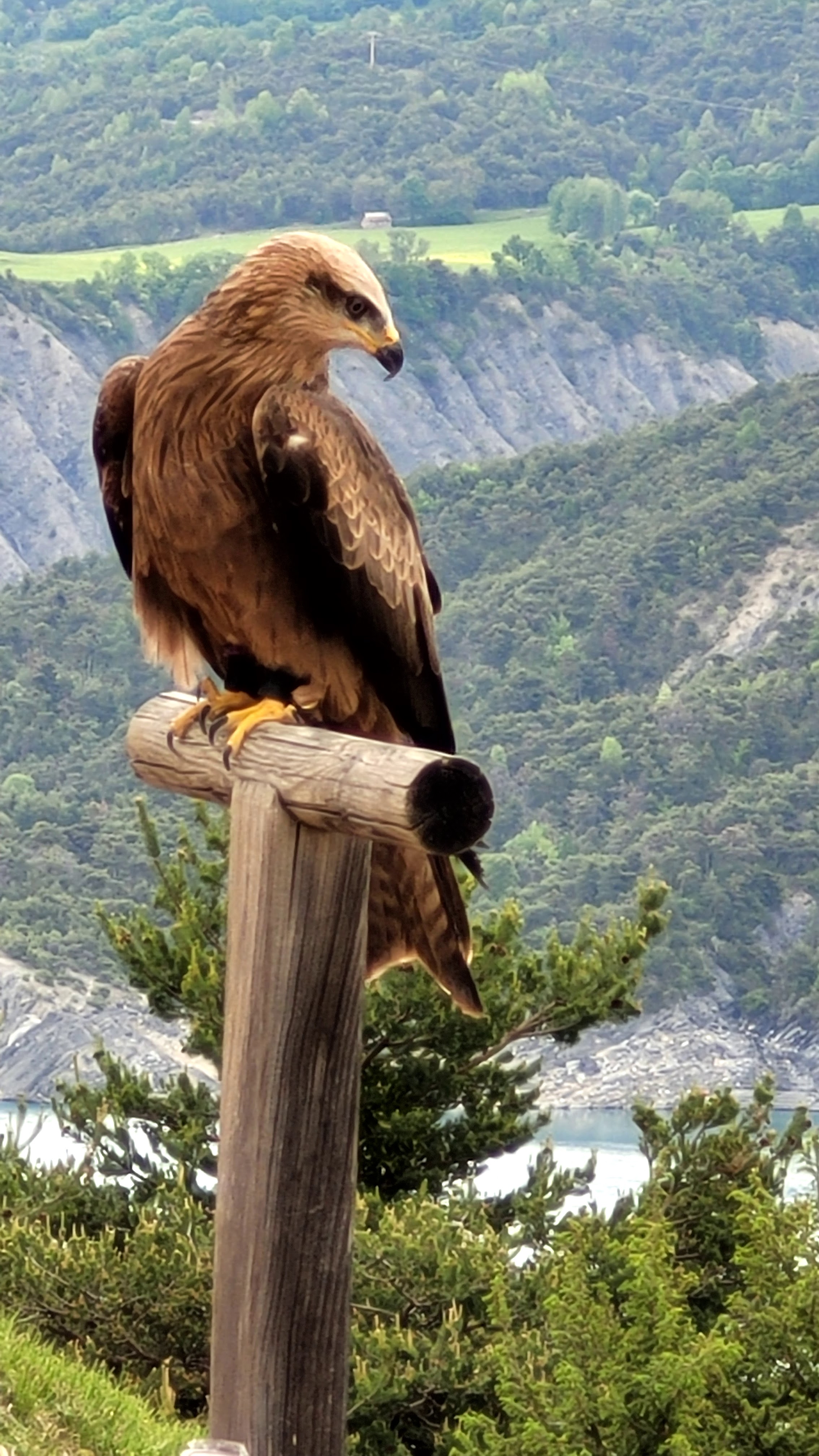 Photo n° 15 de l'avis de PASSIONS.O fait le 24/05/2023 à 09:56