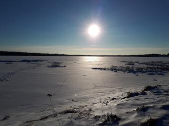 Strawberry Marsh Trail