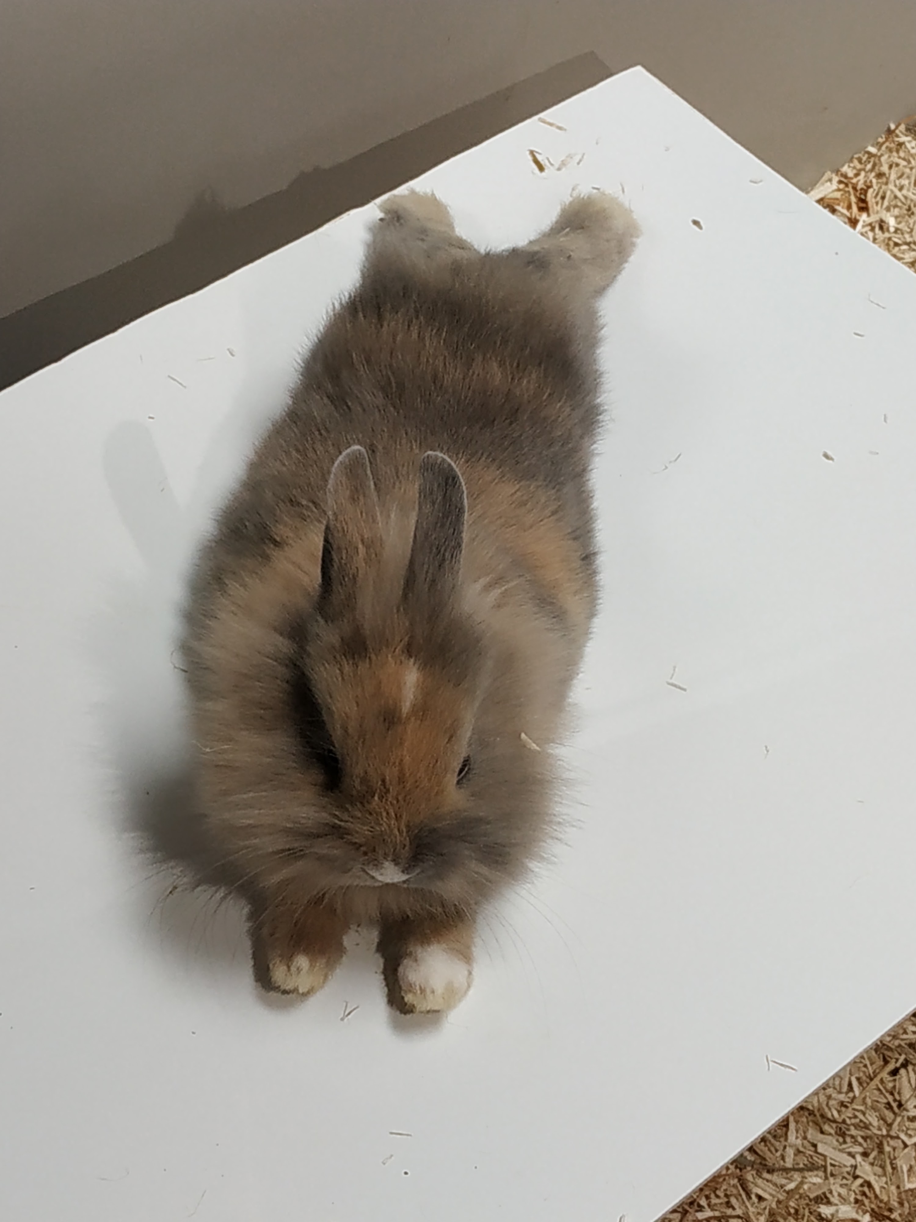 Photo n° 1 de l'avis de Crazy.a fait le 04/05/2019 à 15:24