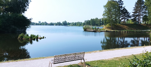 Forêt Domaniale de Bois l'Evêque à Ors