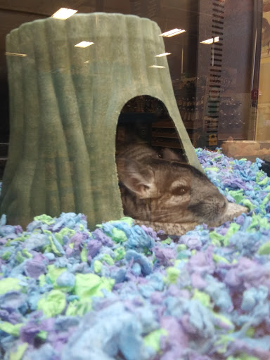 Pet Supply Store «PetSmart», reviews and photos, 6622 Charlotte Pike Suite 108, Nashville, TN 37209, USA