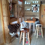 Photo n°2 de l'avis de Annemarie.c fait le 11/06/2019 à 22:37 sur le  Alpe Mohr à Oberstaufen