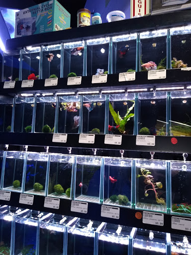 Tropical Fish Store «Optimum Aquarium», reviews and photos, 840 Ernest W Barrett Pkwy NW #700, Kennesaw, GA 30144, USA