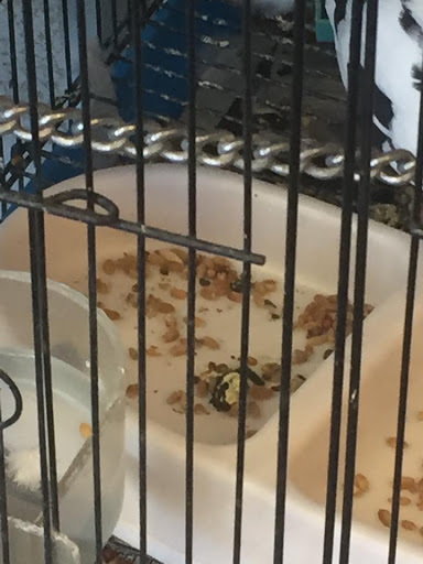 Pet Supply Store «College Greens Pet Center», reviews and photos, 3311 Julliard Dr # A, Sacramento, CA 95826, USA