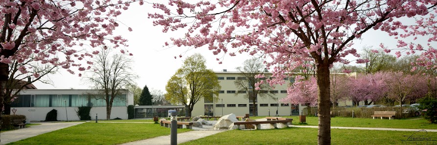 Grundschule Mühldorf a. Inn-Altmühldorf Konrad-Adenauer-Straße 9, 84453 Mühldorf am Inn, Deutschland