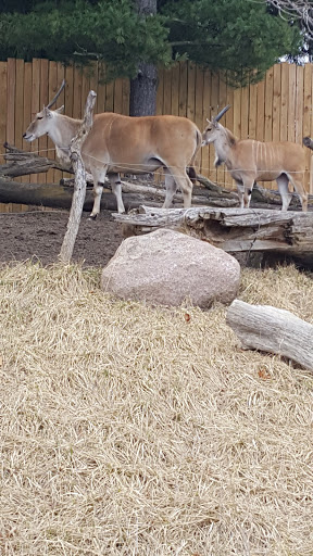 Zoo «Blank Park Zoo», reviews and photos, 7401 SW 9th St, Des Moines, IA 50315, USA