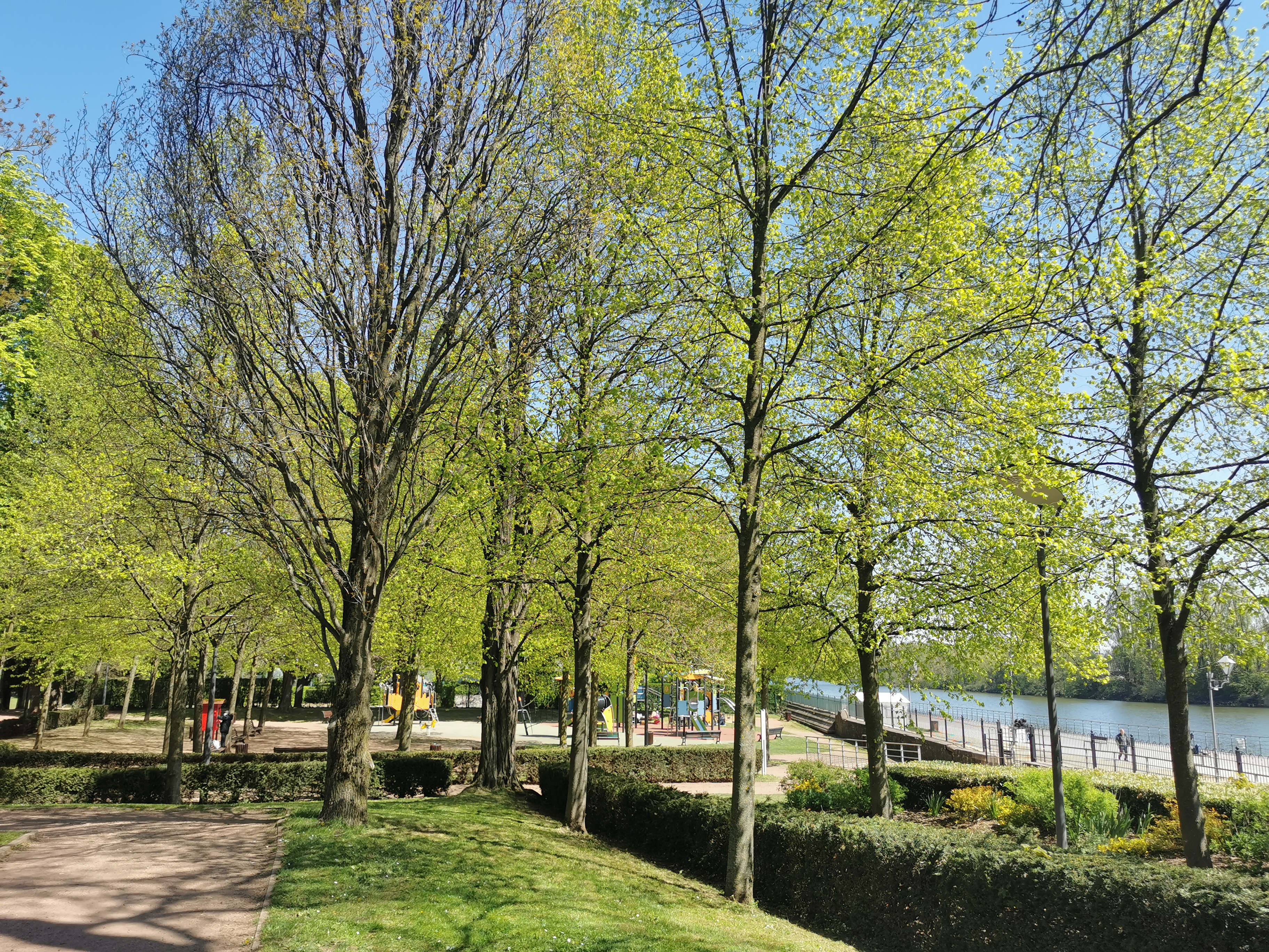 Photo n° 4 de l'avis de Phidis.a fait le 27/04/2021 à 11:28