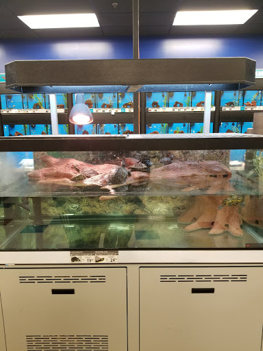 Pet Supply Store «Petco Animal Supplies», reviews and photos, 855 E Bidwell St, Folsom, CA 95630, USA