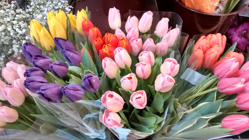 Grocery Store «Albertsons», reviews and photos, 615 Keck Dr, McMinnville, OR 97128, USA