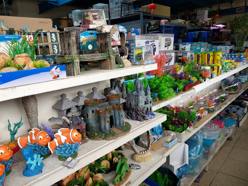 Tropical Fish Store «Xtreme Fish & Pets», reviews and photos, 11415 Bellaire Blvd # A, Houston, TX 77072, USA