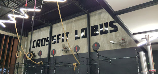 CrossFit Lobus