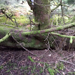 Photo n° 11 de l'avis de Houda.o fait le 25/09/2023 à 18:21 pour Le chambon sur lignon à Le Chambon-sur-Lignon