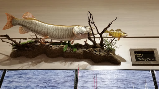 Shopping Mall «Asheville Outlets», reviews and photos, 800 Brevard Rd, Asheville, NC 28806, USA