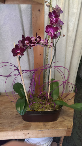 Florist «The New Leaf», reviews and photos, 1301 Redgate Ave, Norfolk, VA 23507, USA