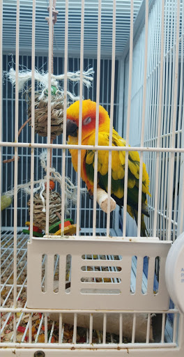 Pet Supply Store «Pet Supplies Plus», reviews and photos, 494 Westgate Dr, Brockton, MA 02301, USA