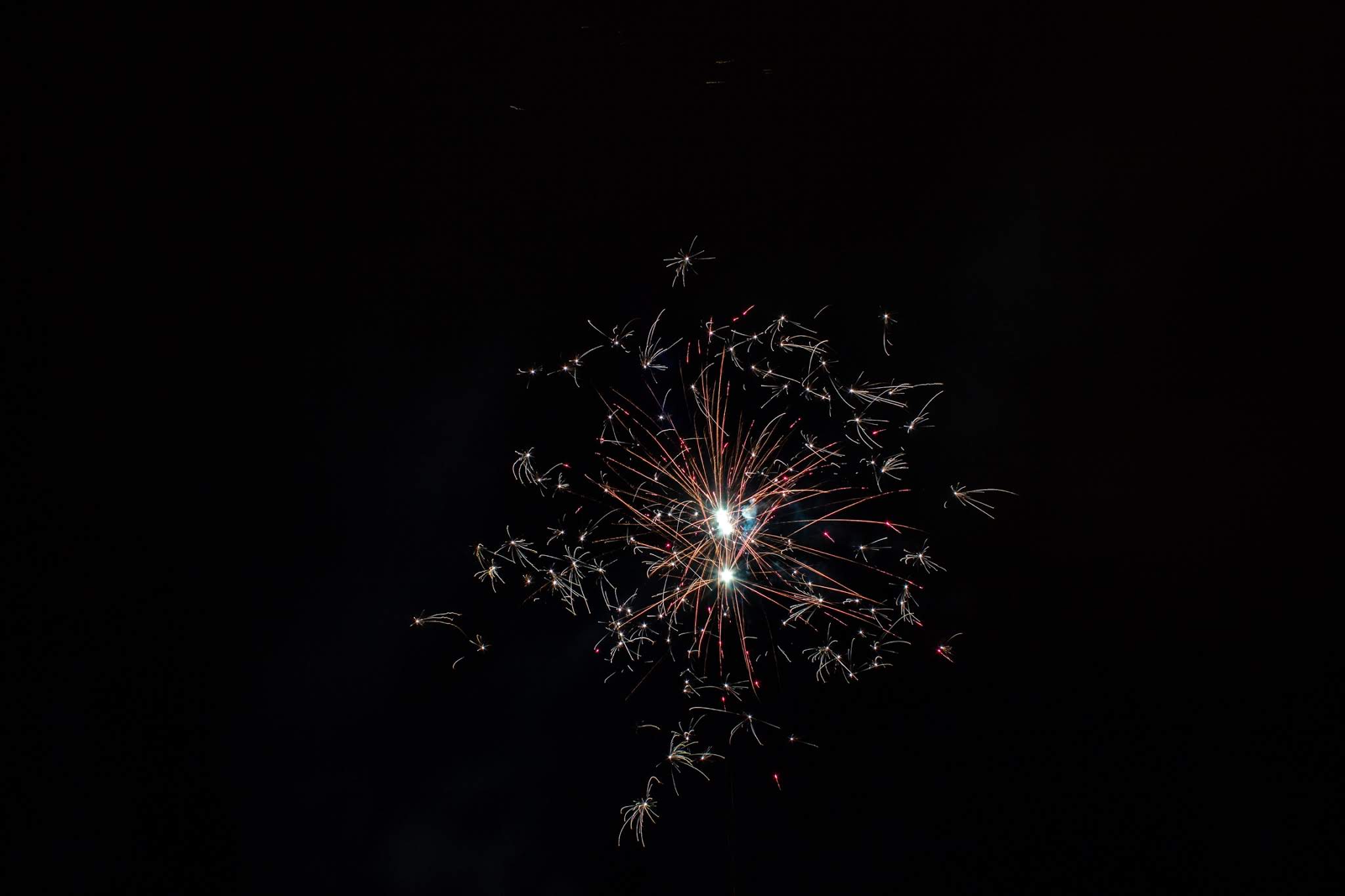 Photo n° 16 de l'avis de Romain. fait le 25/12/2019 à 22:49