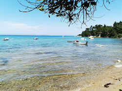 Crikvena beach'in fotoğrafı küçük koy ile birlikte