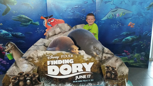 Movie Theater «Regal Cinemas Spokane Valley 12», reviews and photos, 14760 E Indiana Ave, Spokane, WA 99216, USA