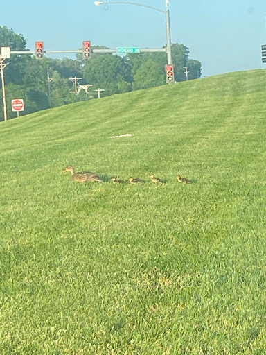 Insurance Agency «Farmers Insurance - Jonathan Olson», reviews and photos