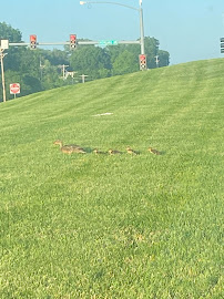 Olson Agency LLC - Jon Olson - Photo 5 - Car repair in Independence, MO, Kansas City