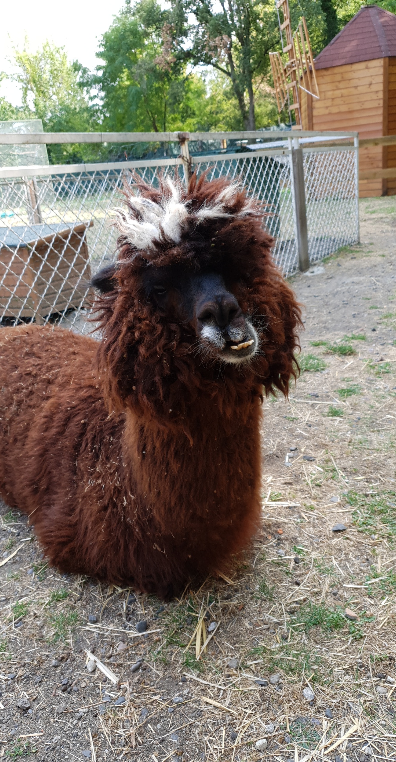 Photo n° 3 de l'avis de Celine.e fait le 29/08/2018 à 18:24