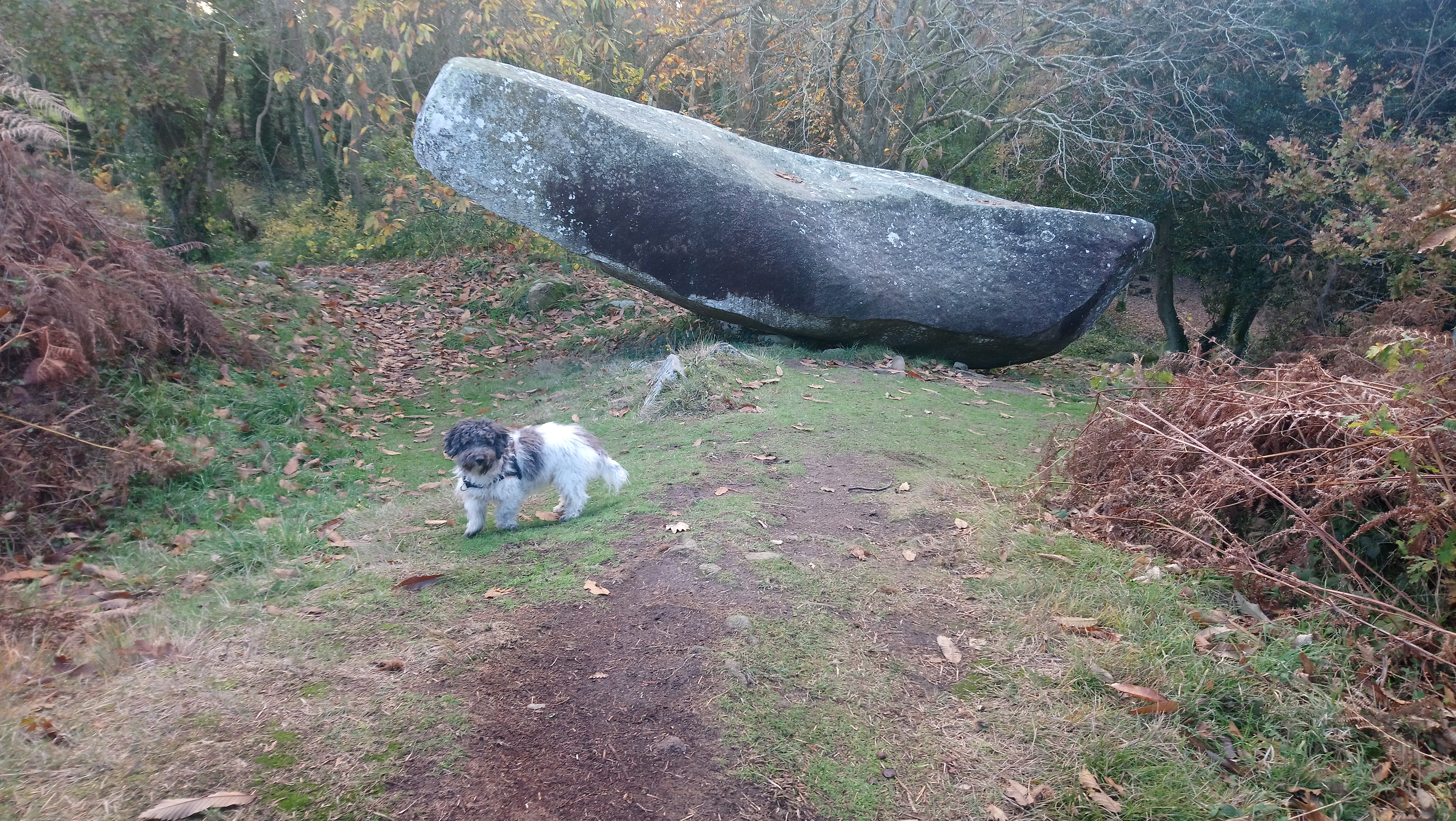 Photo n° 1 de l'avis de Bernard.O fait le 14/11/2018 à 19:00
