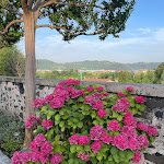 Photo n°8 de l'avis de ALESSANDRO.I fait le 06/07/2023 à 07:26 sur le  Hotel Ca Masieri à Trissino