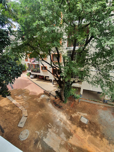 Google Maps image 11