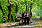 BELLEME ATTELAGES Association Saint-Martin-du-Vieux-Bellême