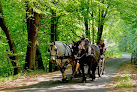 BELLEME ATTELAGES Association Saint-Martin-du-Vieux-Bellême