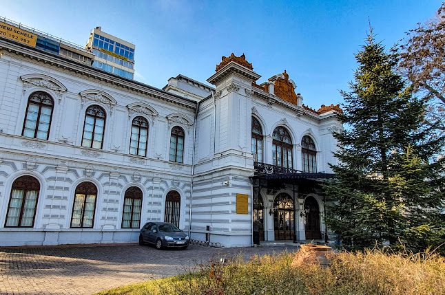 Opinii despre Muzeul Municipiului București - Palatul Suțu în <nil> - Muzeu