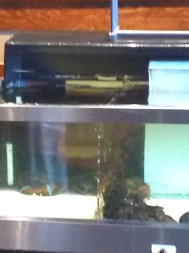 Grocery Store «P P Cobb General Store», reviews and photos, 100 Avenue A #1C, Fort Pierce, FL 34950, USA