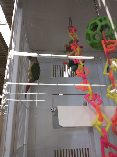 Pet Supply Store «Petco Animal Supplies», reviews and photos, 5177 Eldorado Pkwy, Frisco, TX 75033, USA