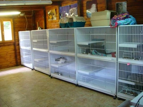 Hotel Canino Aiartza
