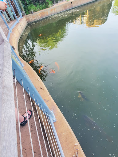 Zoo «Sedgwick County Zoo», reviews and photos, 5555 Zoo Boulevard, Wichita, KS 67212, USA