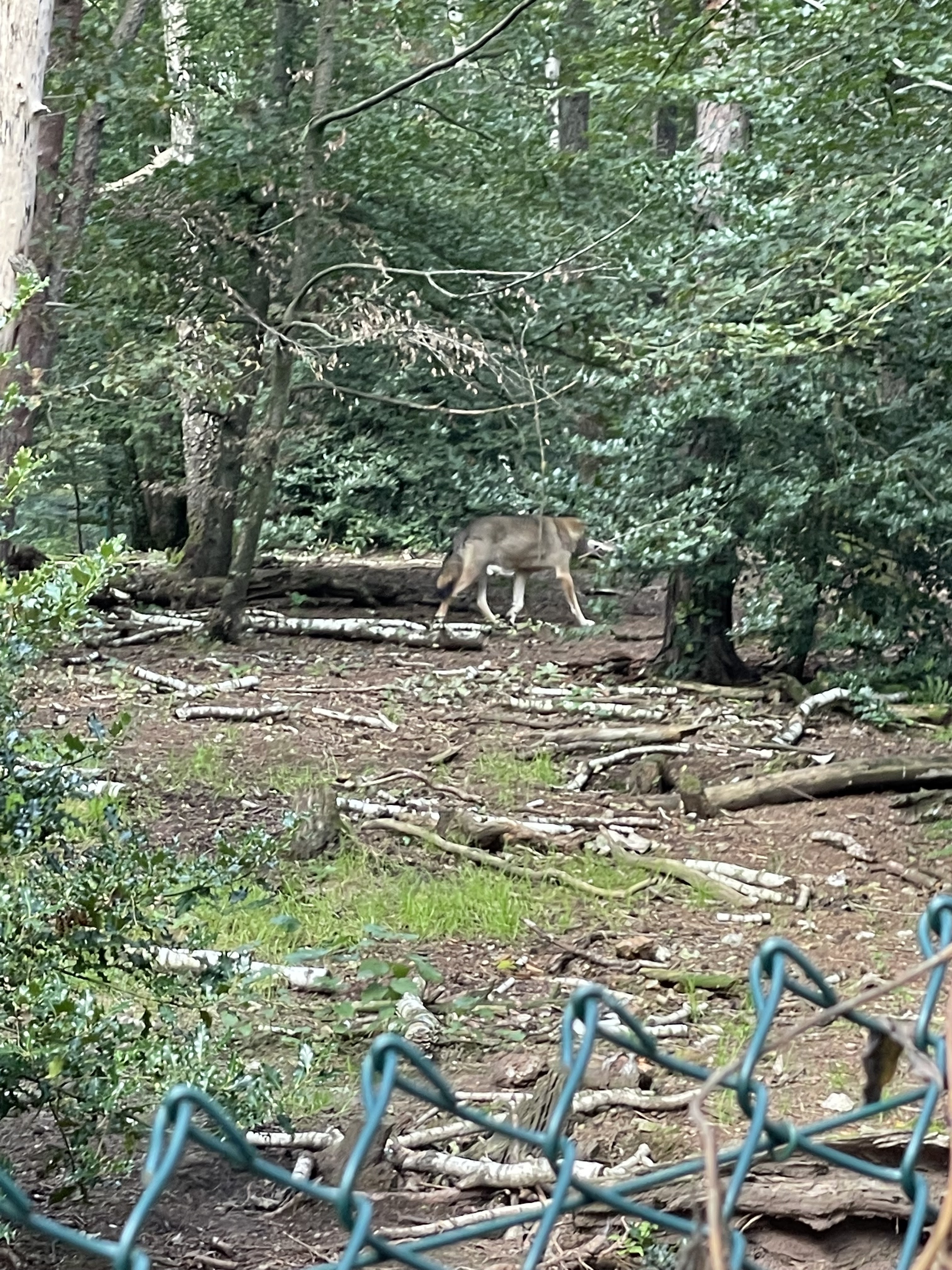 Photo n° 25 de l'avis de joel.u fait le 22/09/2021 à 14:33