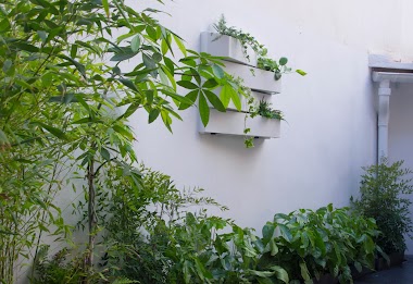 Plantesdecor. Paisajismo Y Jardinería. Diseñamos Tu Jardín En Valencia