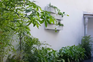 Plantesdecor. Paisajismo y jardinería. Diseñamos tu jardín en Valencia image